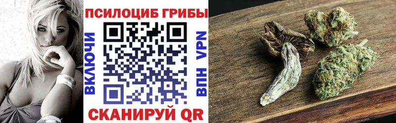 Галлюциногенные грибы Psilocybe  купить   мега онион  Саратов 